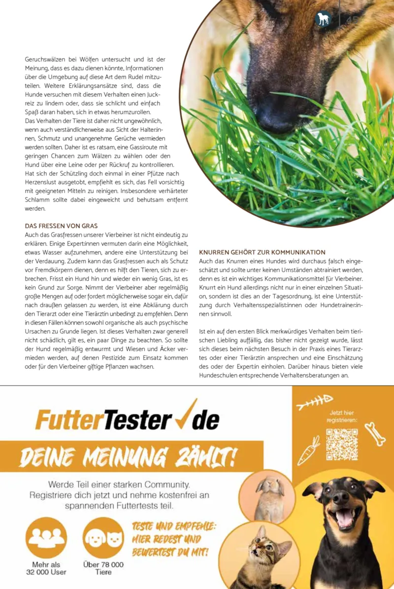 Zookauf Prospekt vom 01.07.2026, Seite 45