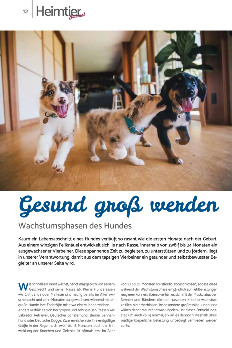 Zookauf Prospekt vom 01.10.2026, Seite 12