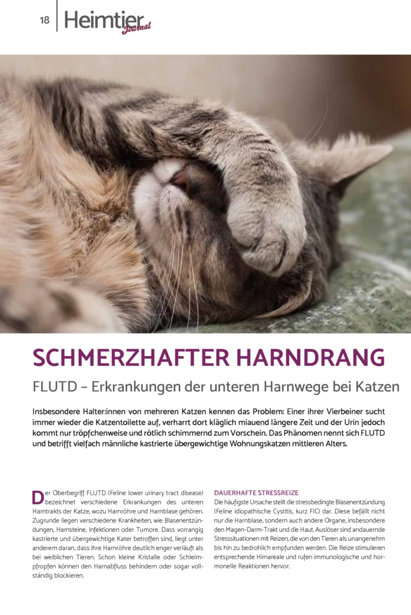 Zookauf Prospekt vom 01.10.2026, Seite 18
