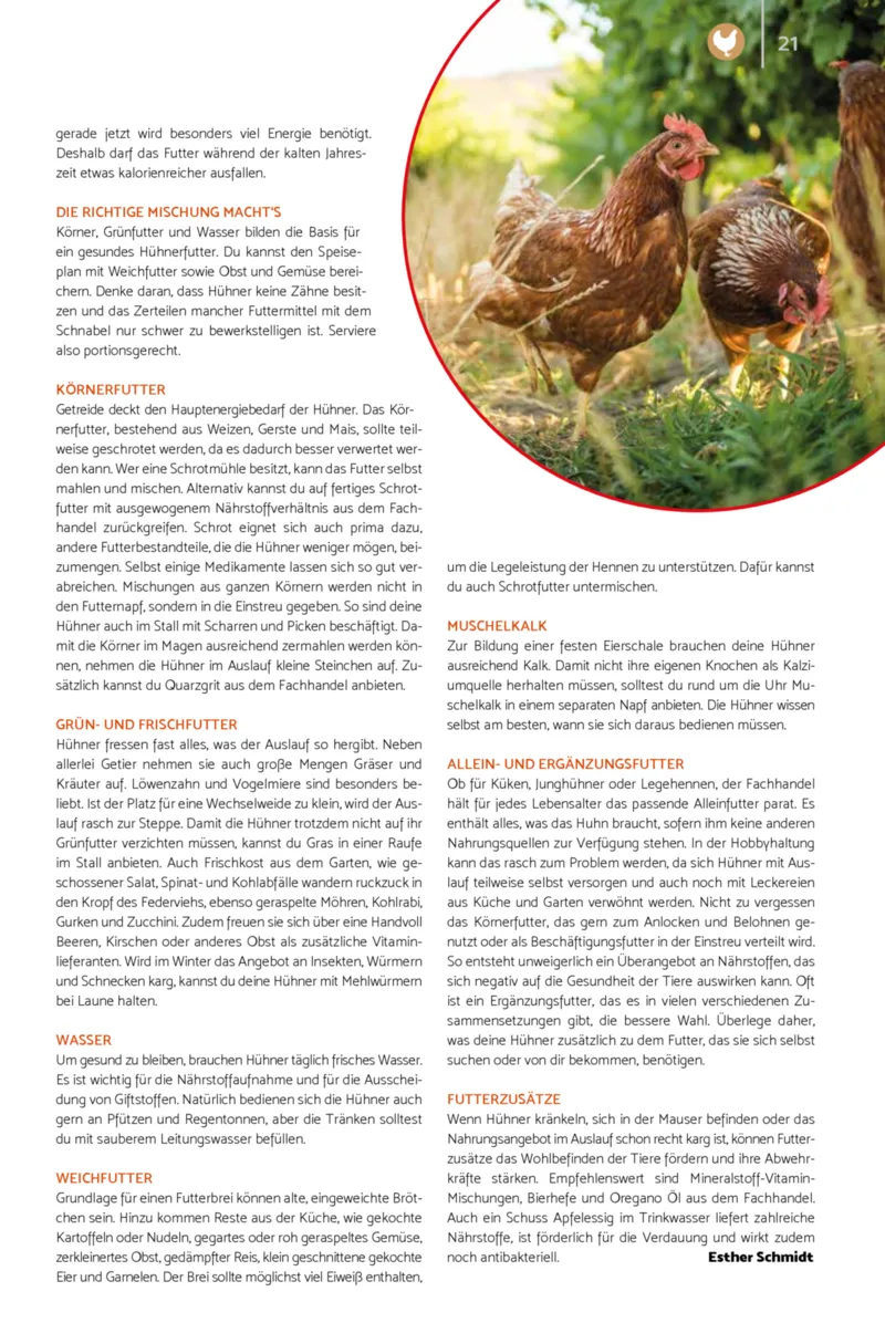 Zookauf Prospekt vom 01.10.2026, Seite 21
