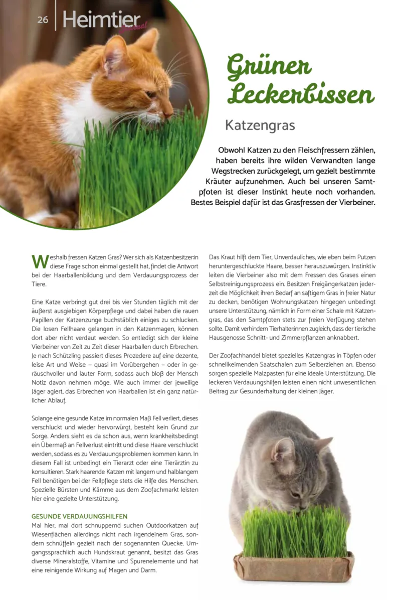 Zookauf Prospekt vom 01.10.2026, Seite 26
