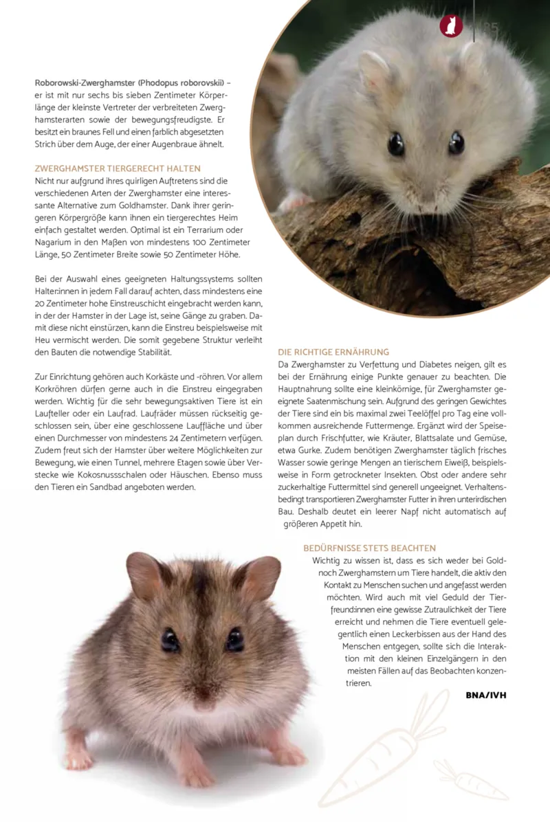 Zookauf Prospekt vom 01.10.2026, Seite 35