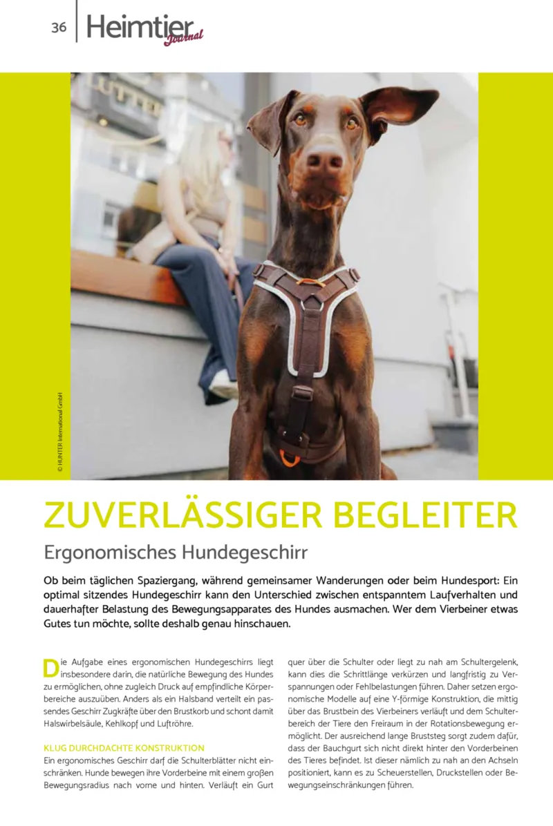 Zookauf Prospekt vom 01.10.2026, Seite 36