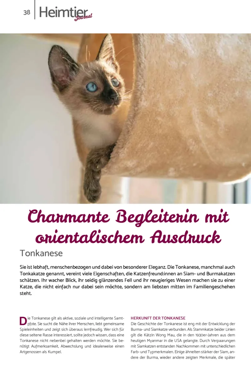 Zookauf Prospekt vom 01.10.2026, Seite 38