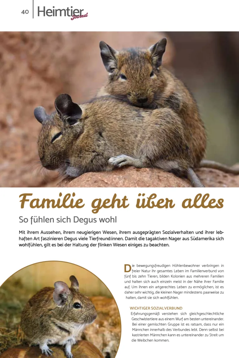Zookauf Prospekt vom 01.10.2026, Seite 40