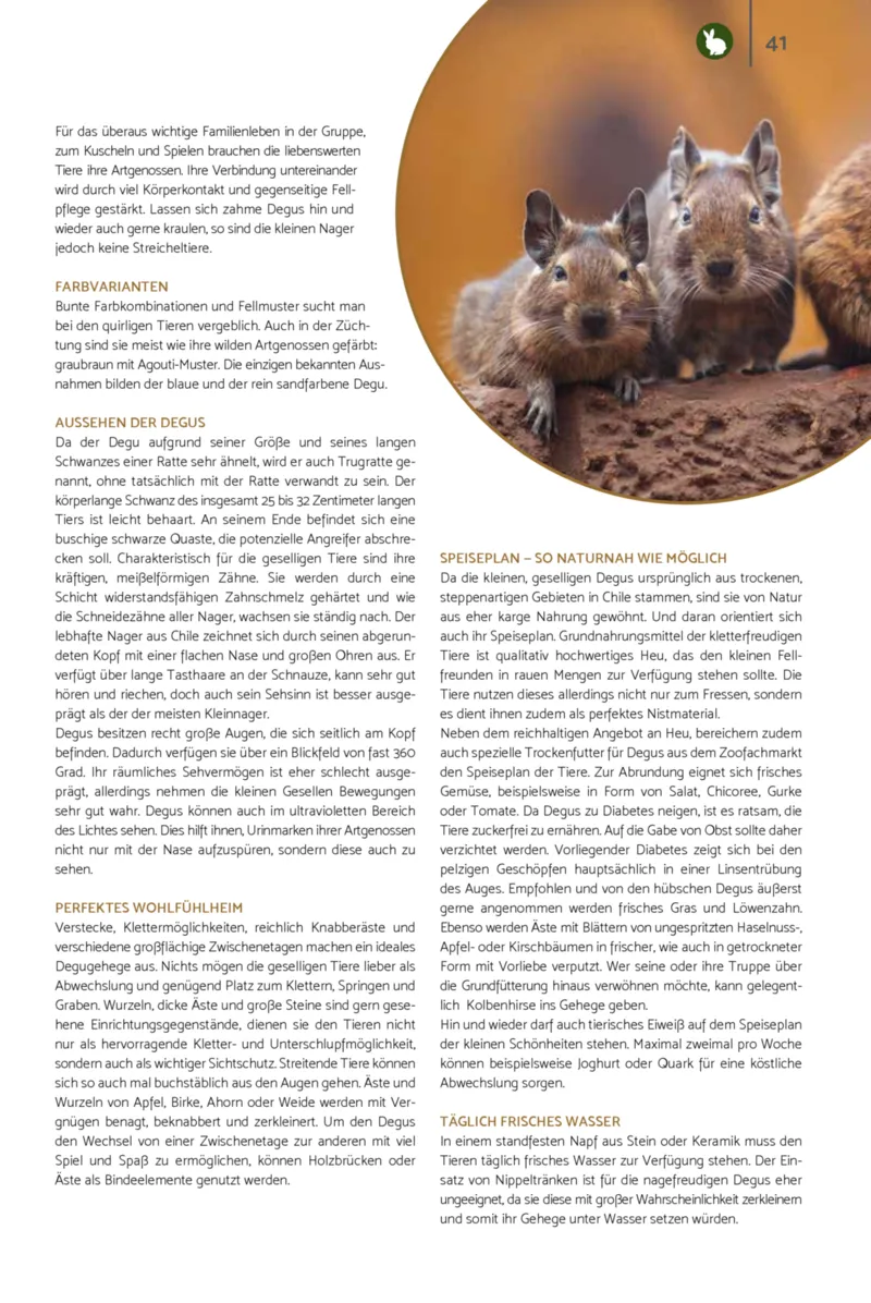 Zookauf Prospekt vom 01.10.2026, Seite 41