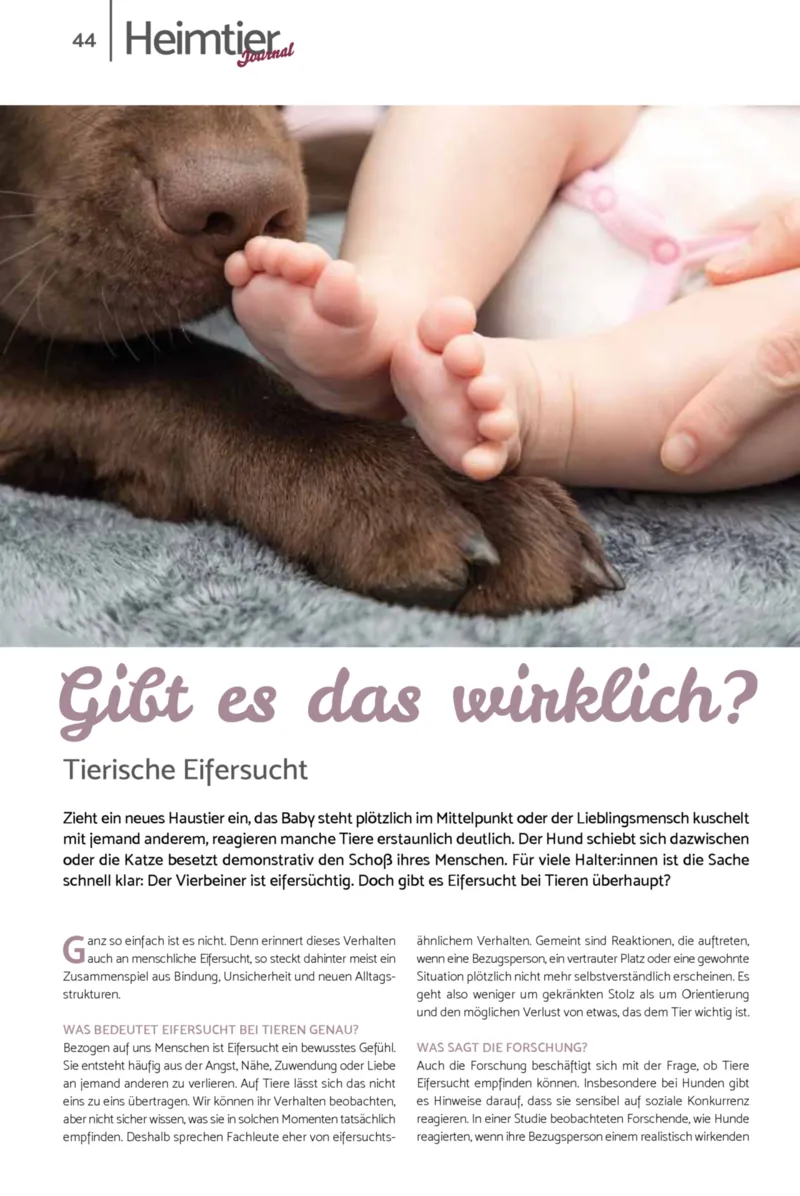 Zookauf Prospekt vom 01.10.2026, Seite 44
