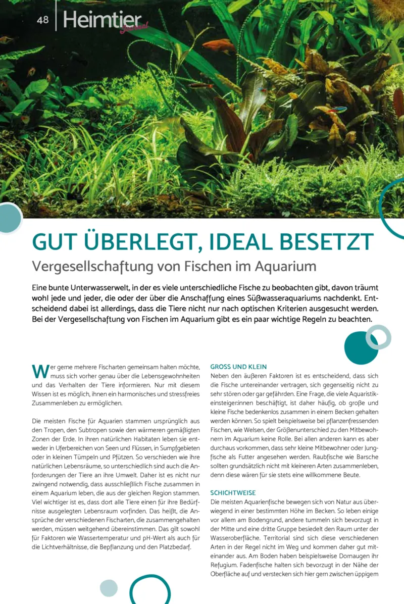 Zookauf Prospekt vom 01.10.2026, Seite 48