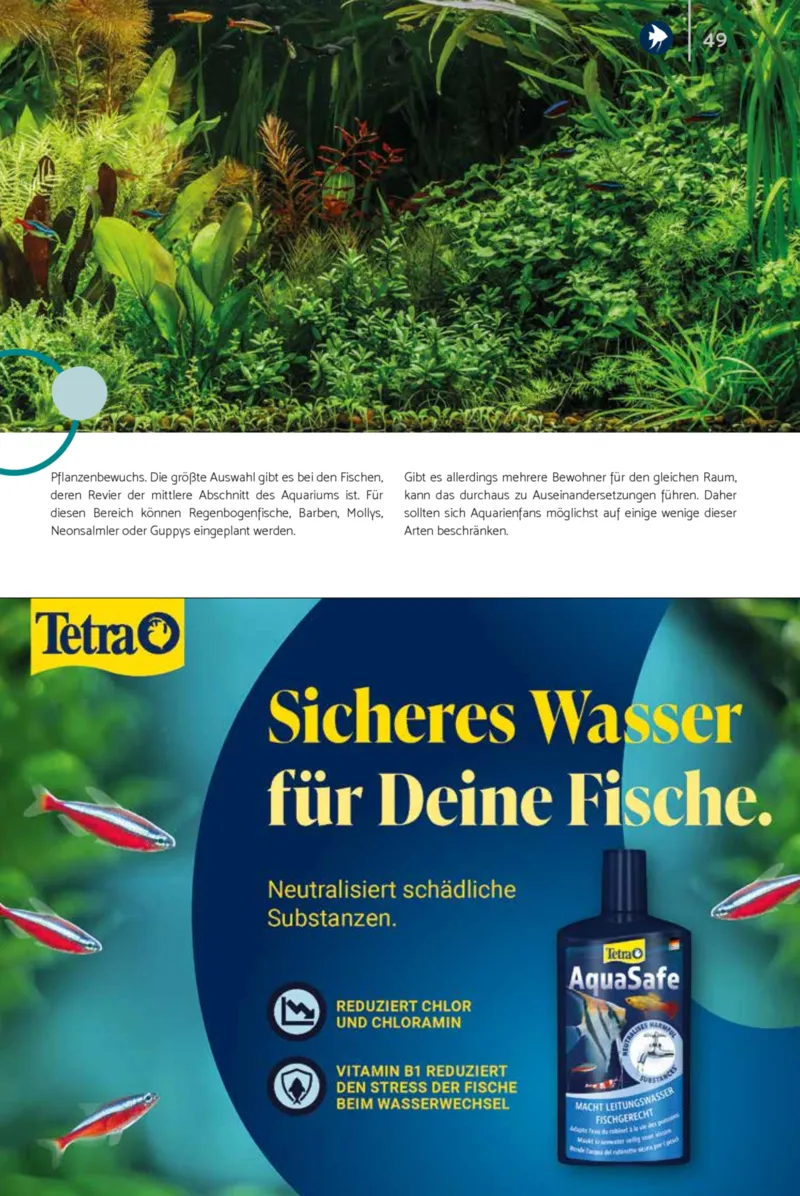 Zookauf Prospekt vom 01.10.2026, Seite 49
