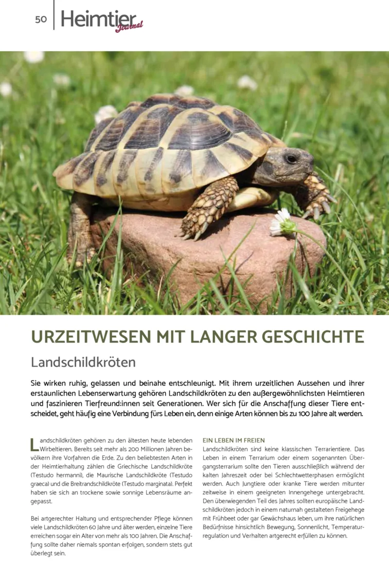 Zookauf Prospekt vom 01.10.2026, Seite 50