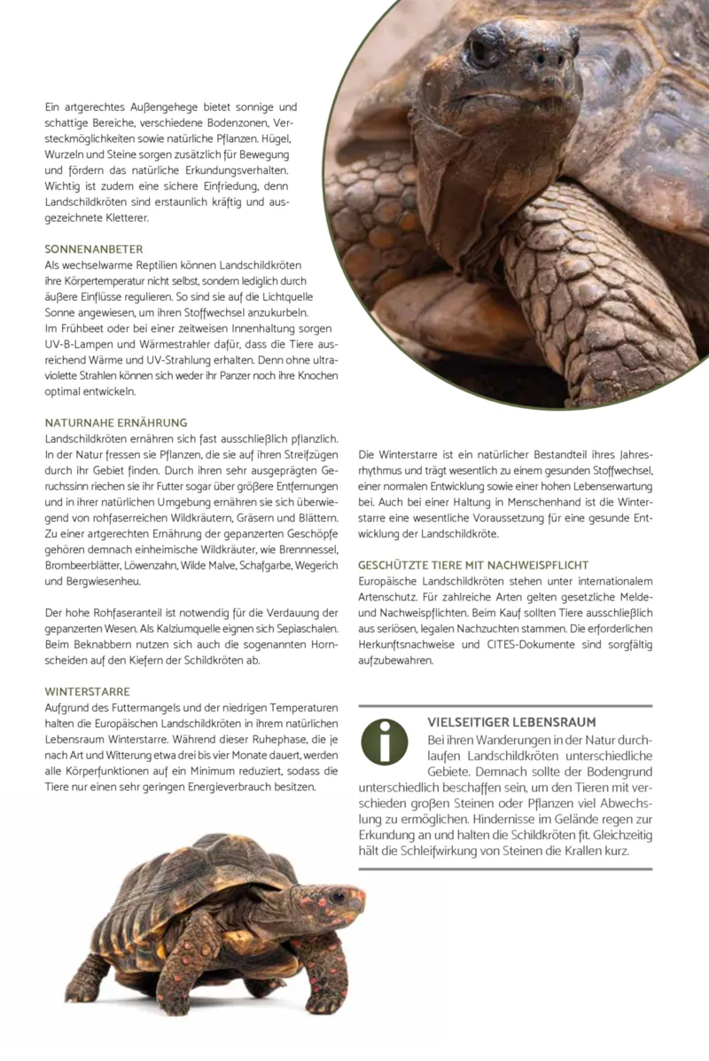 Zookauf Prospekt vom 01.10.2026, Seite 51