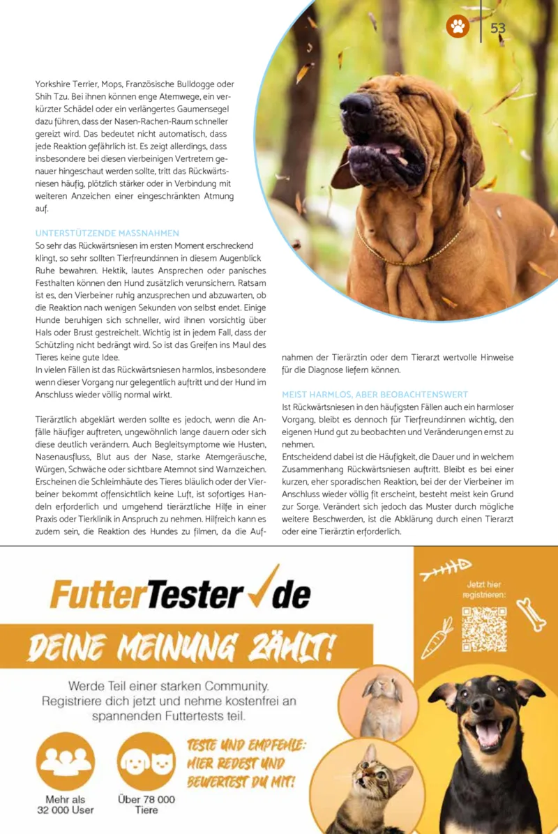 Zookauf Prospekt vom 01.10.2026, Seite 53