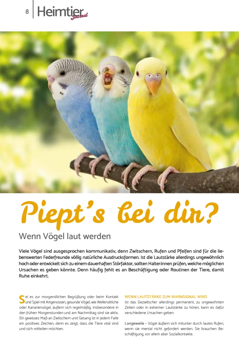 Zookauf Prospekt vom 01.10.2026, Seite 8