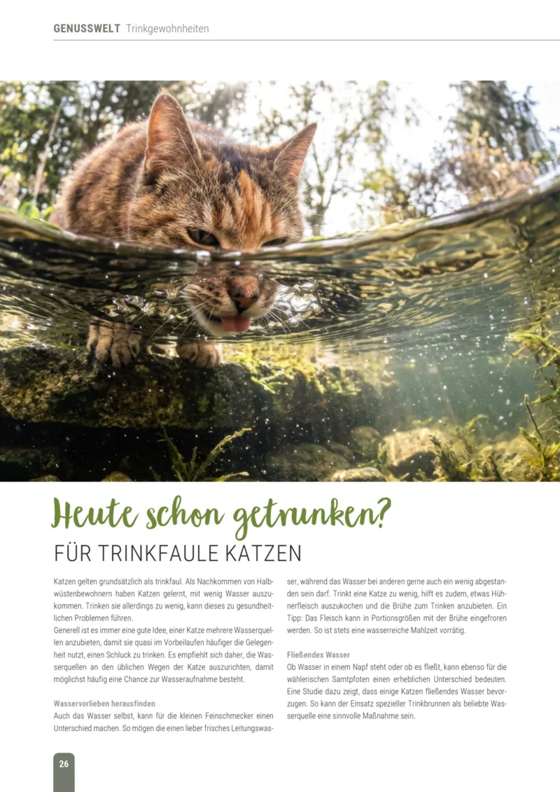 Zookauf Prospekt vom 01.10.2026, Seite 26