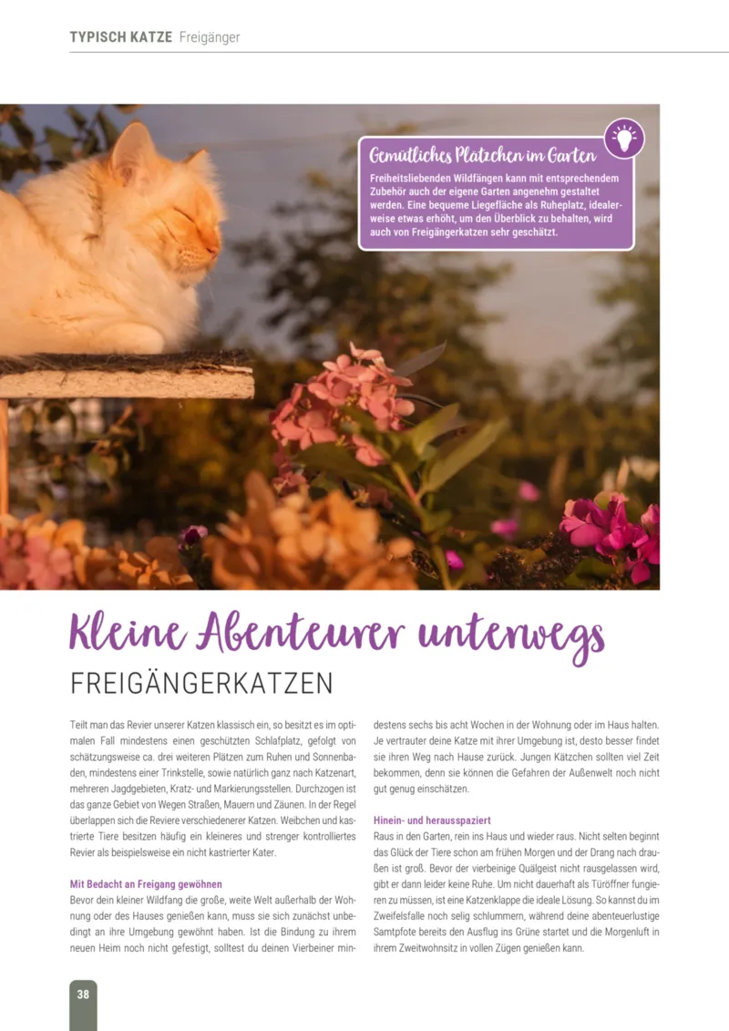 Zookauf Prospekt vom 01.10.2026, Seite 38