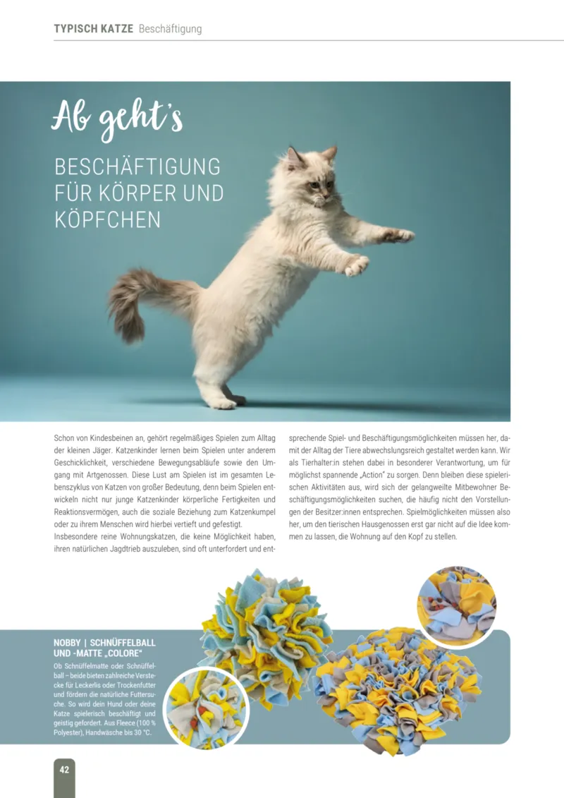 Zookauf Prospekt vom 01.10.2026, Seite 42