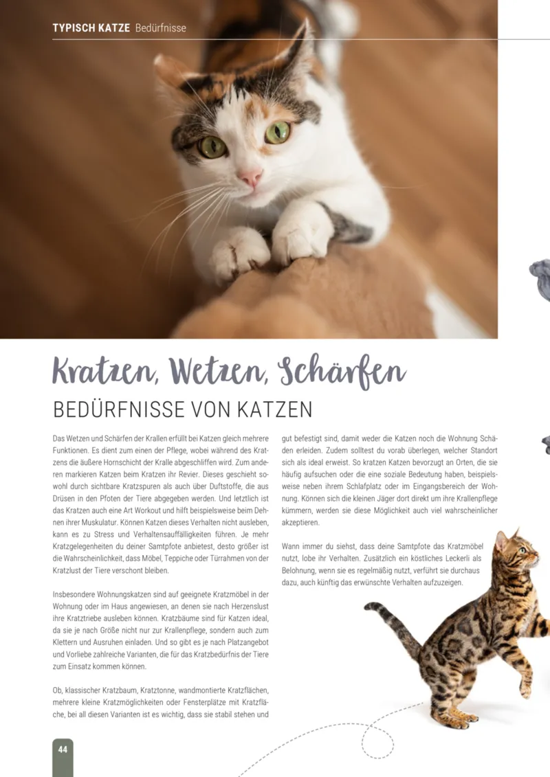 Zookauf Prospekt vom 01.10.2026, Seite 44