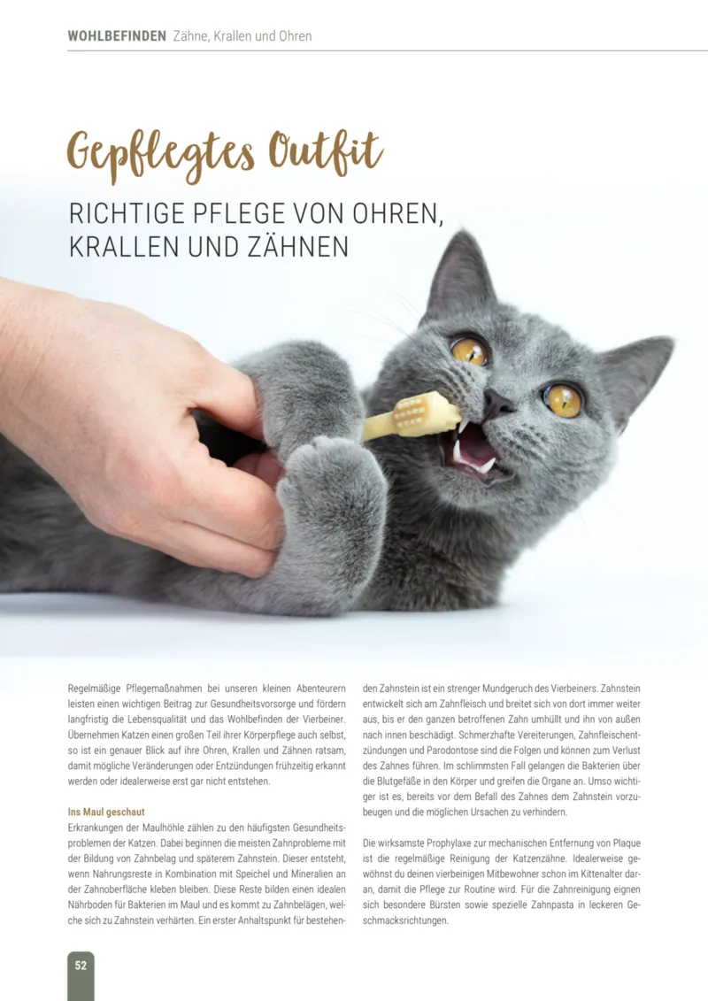 Zookauf Prospekt vom 01.10.2026, Seite 52