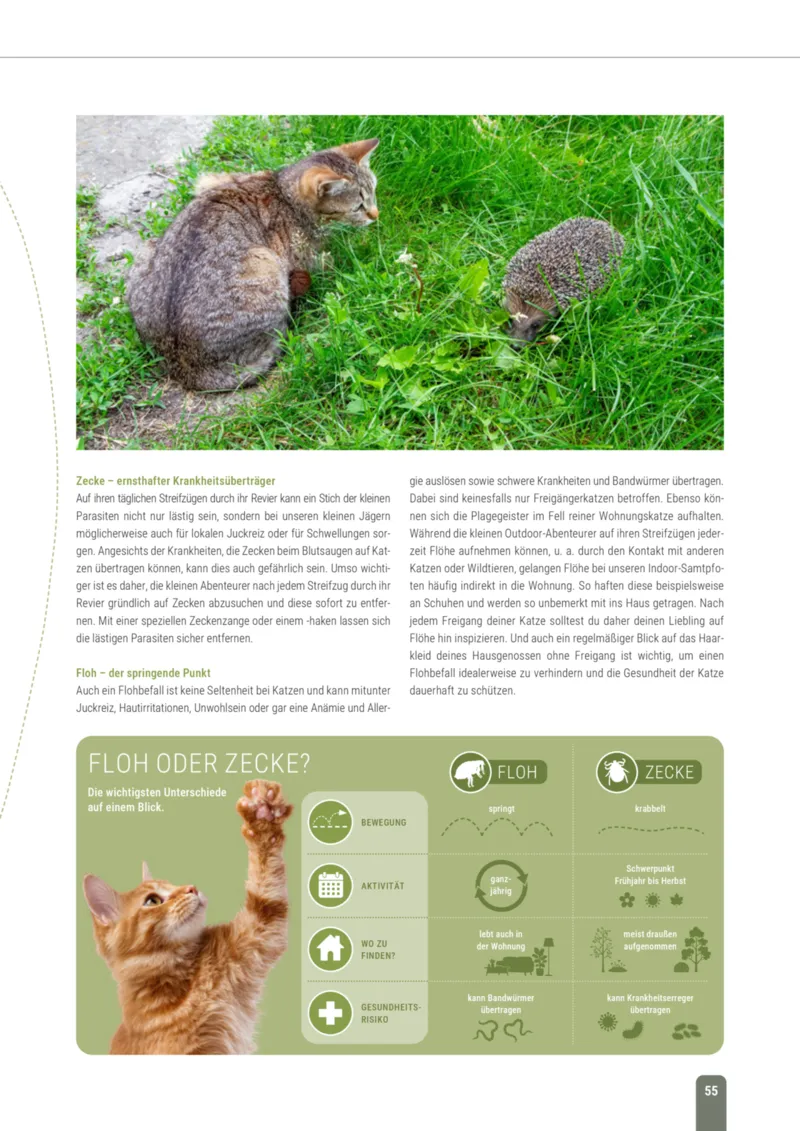 Zookauf Prospekt vom 01.10.2026, Seite 55