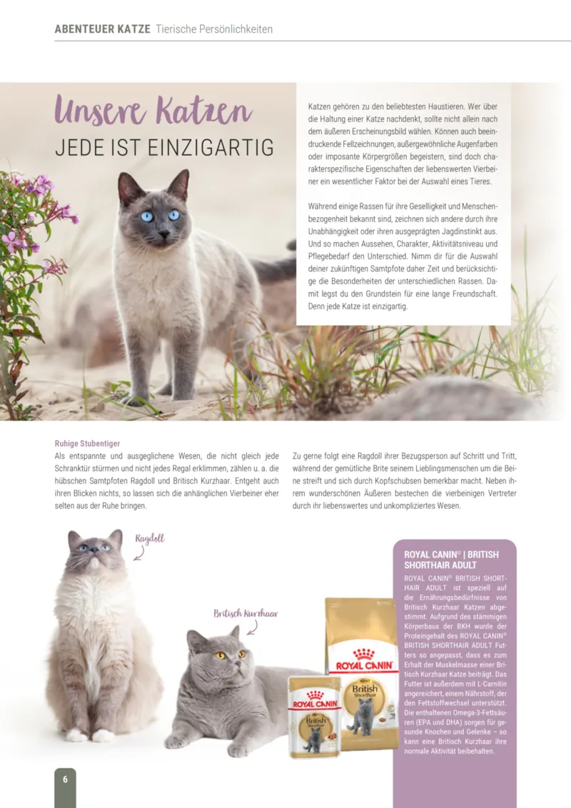 Zookauf Prospekt vom 01.10.2026, Seite 6