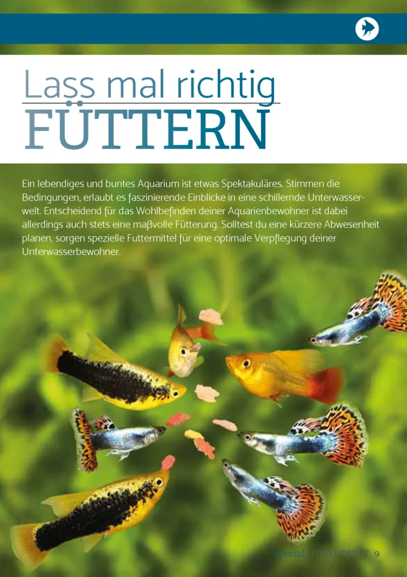 Zookauf Prospekt vom 01.10.2026, Seite 9