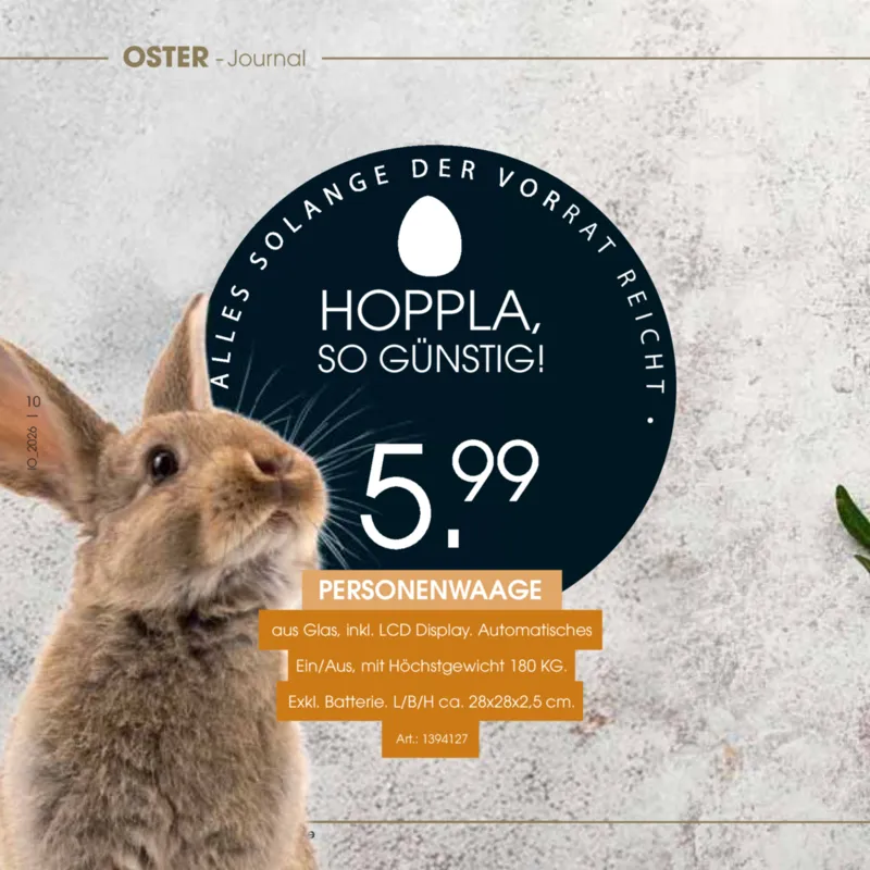 Zurbrüggen Prospekt vom 24.03.2026, Seite 10