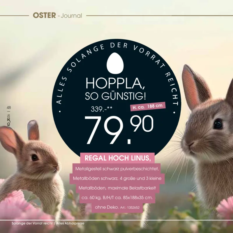 Zurbrüggen Prospekt vom 24.03.2026, Seite 48