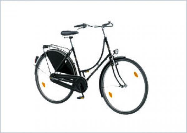 28 Zoll Hinterrad Fahrrad