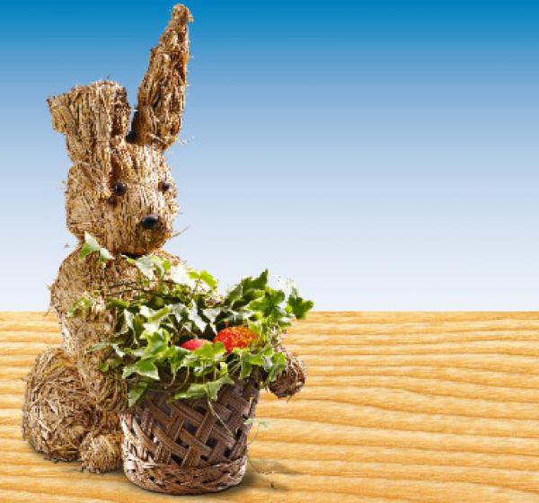 Stroh-Osterhase von Penny Markt ansehen!