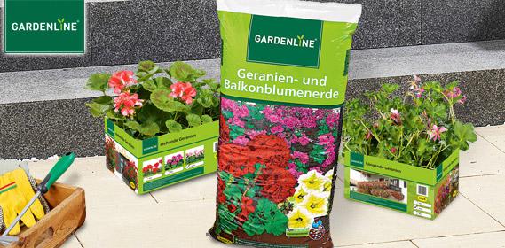 GARDENLINE® Geranien und Balkonblumenerde von Aldi Süd ansehen!