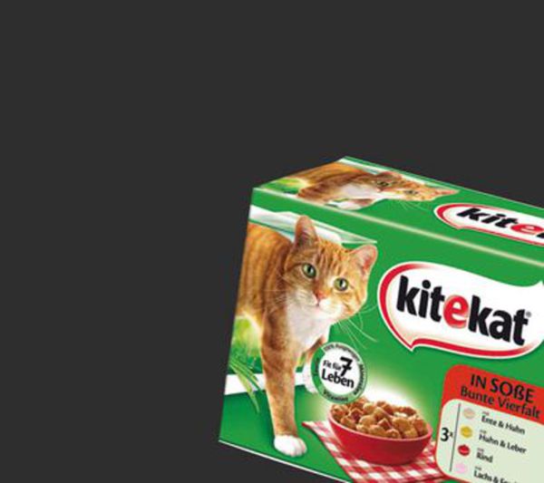 Kitekat чит rust