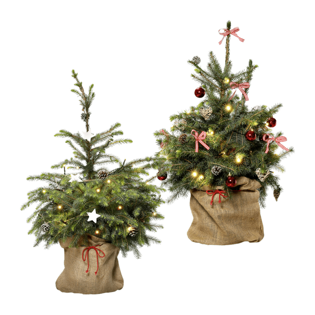 GARDEN FEELINGS Geschmückter Weihnachtsbaum von Aldi Nord ansehen!