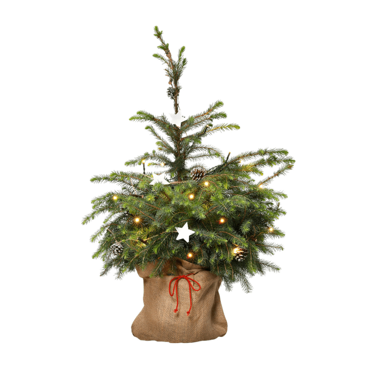 GARDEN FEELINGS Geschmückter Weihnachtsbaum von Aldi Nord ...