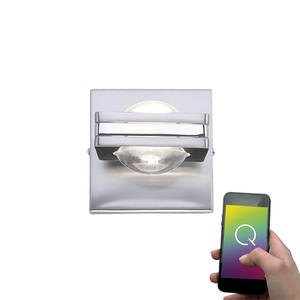 Paul Neuhaus LED Wandlampe 2 flg Q-FISHEYE Smart Home (Alexa tauglich)