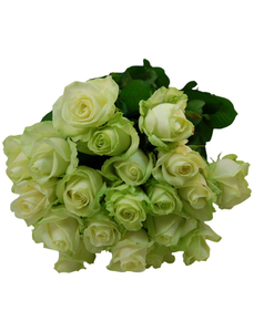 Blumenstrauß mit Rosen   in weiß, Ø 36–40 cm