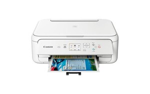 CANON PIXMA TS 5151 weiß Multifunktionsdrucker (Tintenstrahldrucker, 3-in-1, Scanner, Kopierer, WLAN, PictBridge, USB, Bluetooth, AirPrint, Cloud Print, Duplex, randloser Druck)