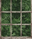 Bild 1 von Erismann Vliestapete Instawalls Muster / Motiv grün, 10,05 x 0,53 m