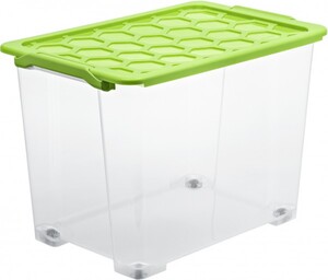 Rotho Aufbewahrungsbox EVO Safe inklusive Deckel 65 l 59 x 39,5 x 41,2 cm (L x B x H)