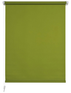Seitenzugrollo, grün, Klemmfix, Polyester