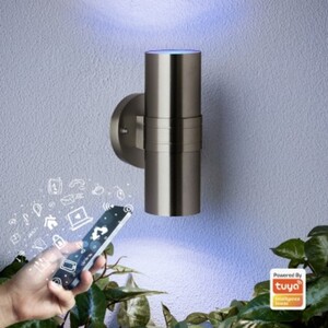 Brilliant LED Außen-Wandleuchte Sanders Tuya Smart Home, CCT, edelstahl