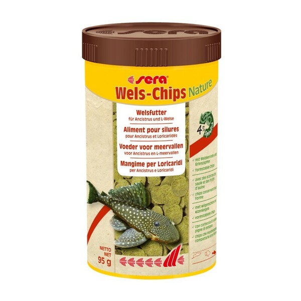 Wels-Chips Nature 250 ml