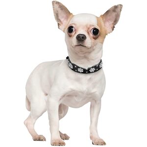 TOPMELON Hunde-Halsband, Leder, Anti-PU-Leder, Länge: 37 cm / 42 cm