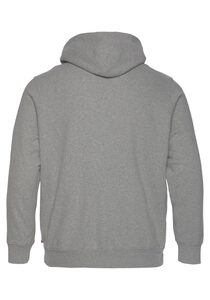 Levi's® Plus Kapuzensweatshirt »LE T2 BIG GRAPHIC HOODIE« mit Logofrontprint