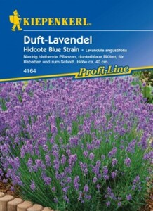 Kiepenkerl Lavendel Hidcote Blue Strain
, 
Lavandula angustifolia, Inhalt: ca. 40 Pflanzen