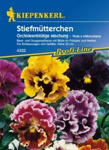 Kiepenkerl Stiefmütterchen Orchideenblütige Mischung
, 
Viola x wittrockiana, Inhalt: ca. 40 Pflanzen
