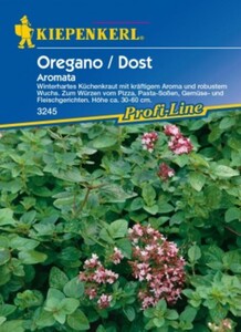 Kiepenkerl Oregano Dost Aromata
, 
Origanum vulgare subsp.vulgare, Inhalt: ca. 150 Pflanzen