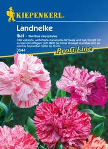 Kiepenkerl Landnelke Ikat
, 
Dianthus caryophyllus, Inhalt: ca. 100 Pflanzen