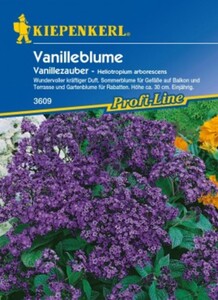 Kiepenkerl Vanilleblume Vanillezauber
, 
Heliotropium arborescens, Inhalt: ca. 50 Pflanzen