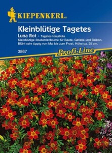 Kiepenkerl Studentenblume Luna (Gem) Rot
, 
Tagetes tenuifolia, Inhalt: ca. 80 Pflanzen