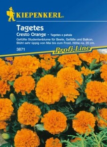 Kiepenkerl Studentenblume Cresto Orange
, 
Tagetes patula, Inhalt: ca. 50 Pflanzen